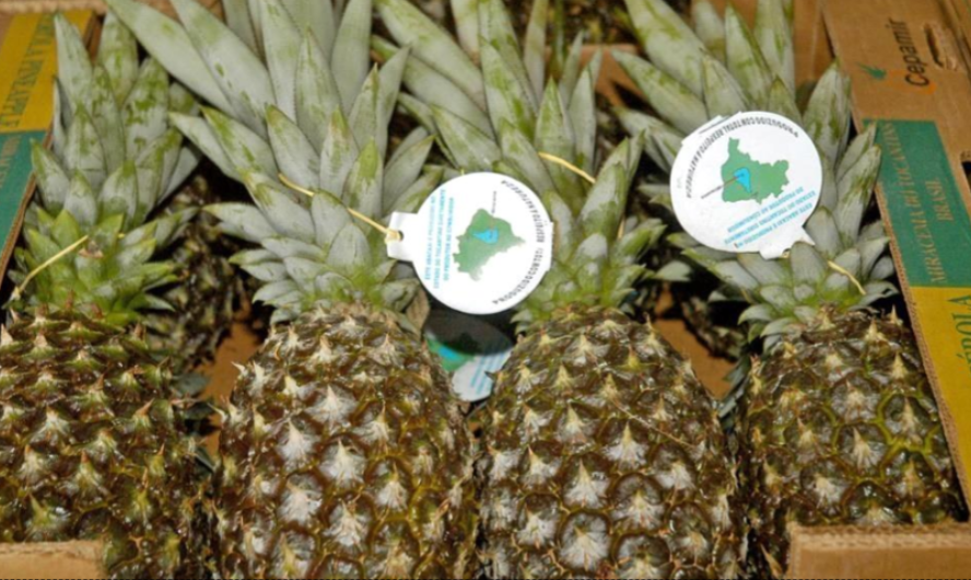 Pineapple Box 11.3 KG